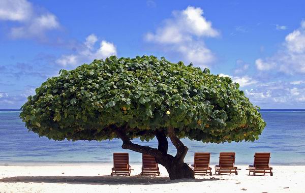 cook island1