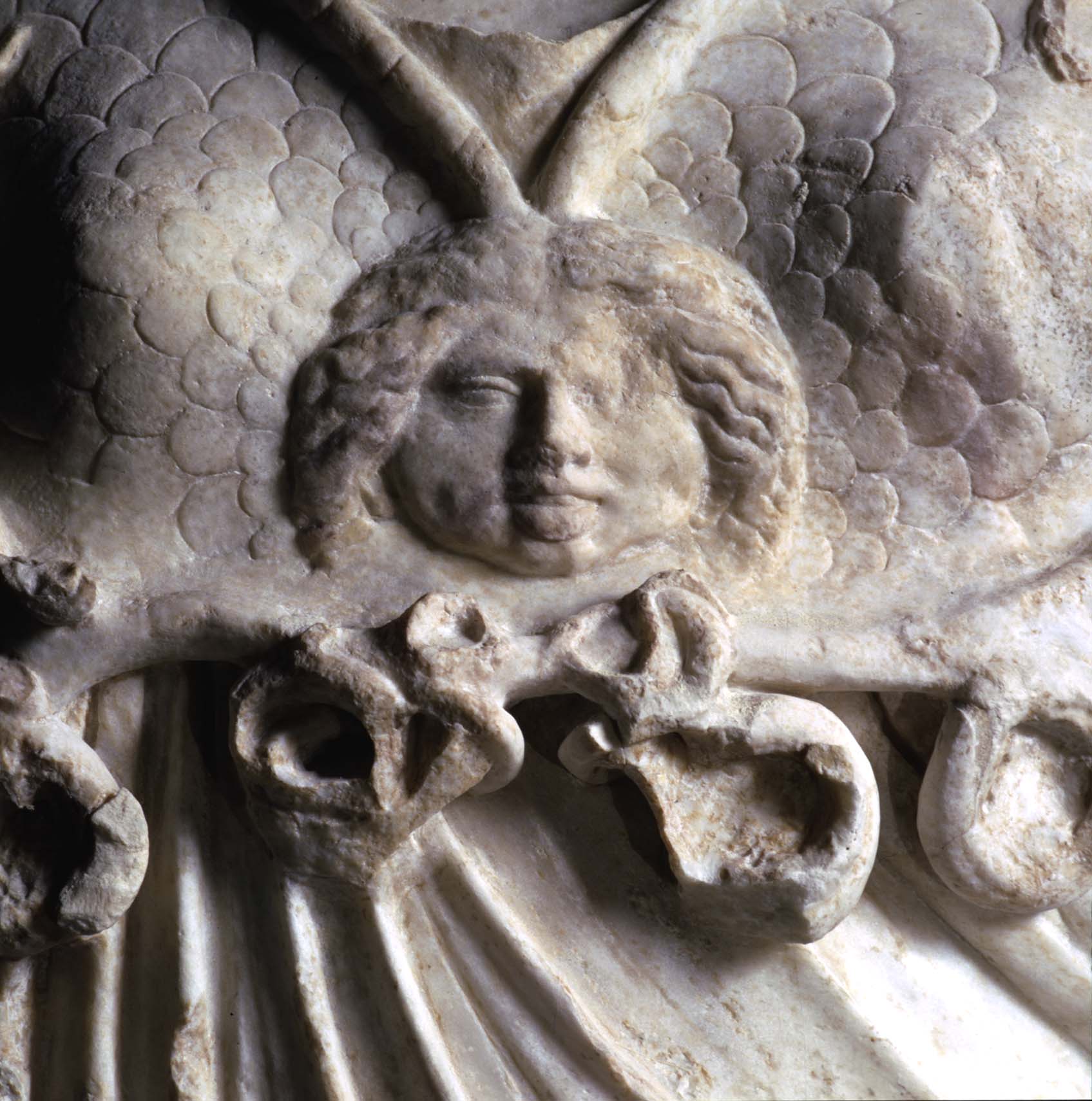 03 Minerva particolare