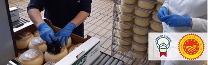 Sicurezza DOP Casciotta dUrbino DOP