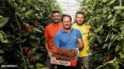 produttori Torpedino