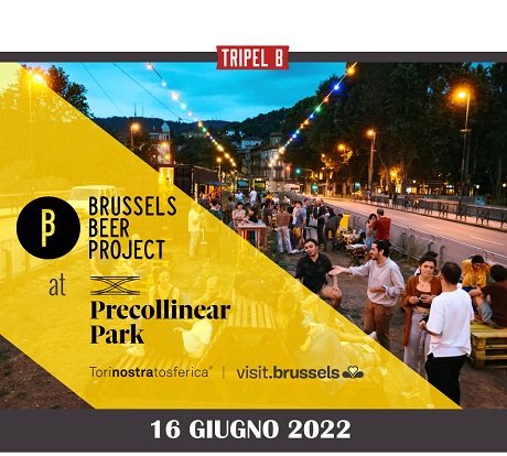 brusselsatorino