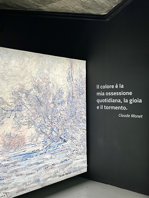 Next Museum Monet 27