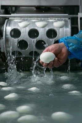 mozzarella