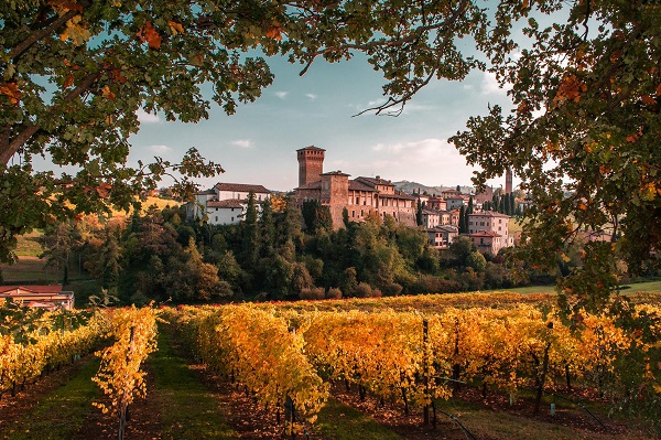 Castello di Levizzano Rangone di NacchiosBrothers