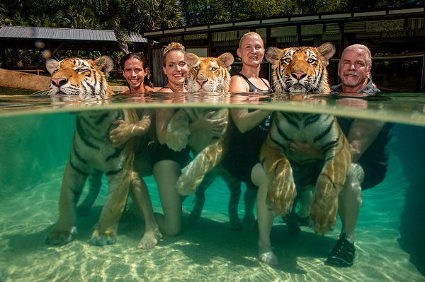 tigri world press photo