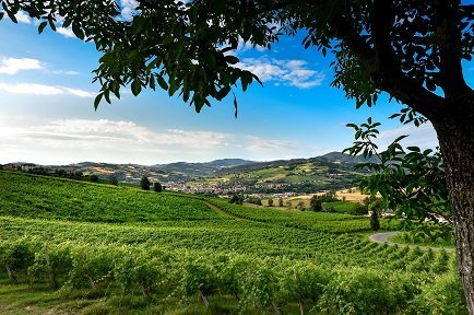 Valtidone Wine Fest 3