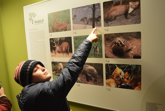 supersano museodelbosco