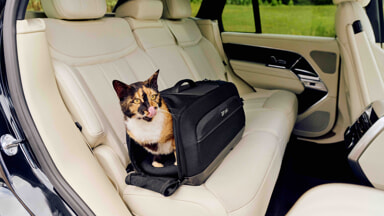 Arrivano i Pet Safety Days, due giorni tra divertimento e informazione per viaggiare sicuri con gli amici animali