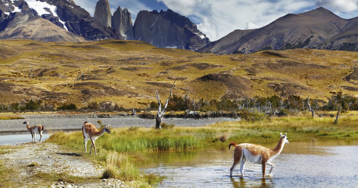 Deserti, iceberg, vino, neve e poesia: viaggio tra le meraviglie del Cile, il paese infinito