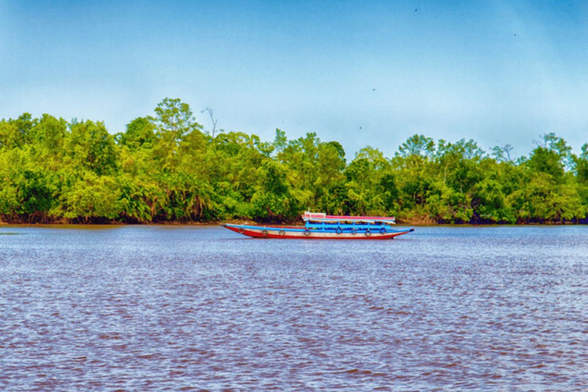 Suriname, viaggio fuori dalle solite rotte: dove si trova, natura e cultura